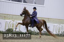 25R13_11177 thumbnail