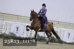 25R13_11178 thumbnail