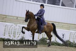 25R13_11179 thumbnail