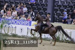 25R13_11180 thumbnail