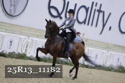 25R13_11182 thumbnail