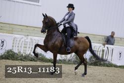 25R13_11183 thumbnail
