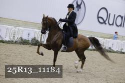 25R13_11184 thumbnail