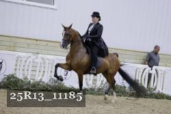 25R13_11185 thumbnail