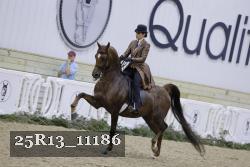 25R13_11186 thumbnail