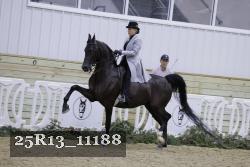 25R13_11188 thumbnail