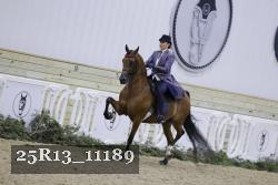 25R13_11189 thumbnail