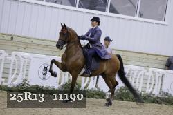 25R13_11190 thumbnail
