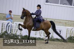 25R13_11191 thumbnail