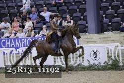 25R13_11192 thumbnail