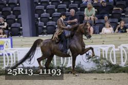 25R13_11193 thumbnail