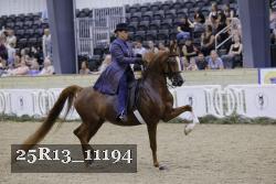 25R13_11194 thumbnail
