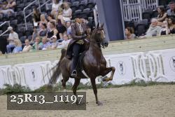 25R13_11197 thumbnail
