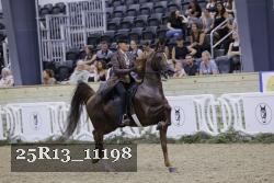 25R13_11198 thumbnail