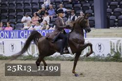 25R13_11199 thumbnail