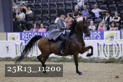 25R13_11200 thumbnail