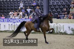 25R13_11202 thumbnail