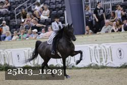 25R13_11203 thumbnail