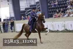 25R13_11204 thumbnail