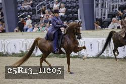 25R13_11205 thumbnail