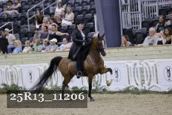 25R13_11206 thumbnail
