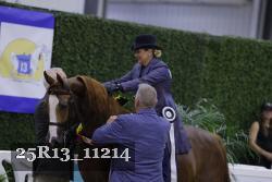 25R13_11214 thumbnail