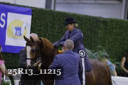25R13_11215 thumbnail