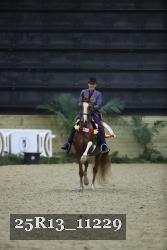 25R13_11229 thumbnail
