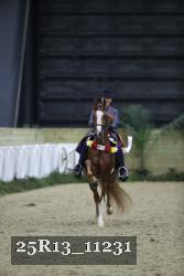 25R13_11231 thumbnail