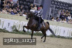 25R13_11232 thumbnail