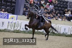 25R13_11233 thumbnail