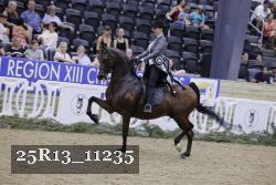 25R13_11235 thumbnail
