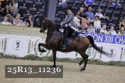 25R13_11236 thumbnail