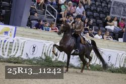 25R13_11242 thumbnail