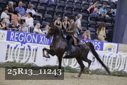 25R13_11243 thumbnail