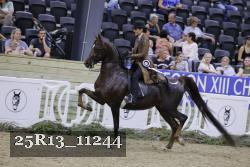 25R13_11244 thumbnail