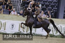 25R13_11245 thumbnail