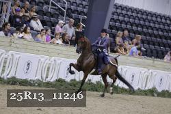 25R13_11246 thumbnail