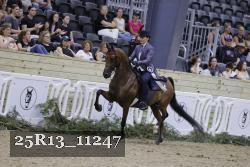 25R13_11247 thumbnail
