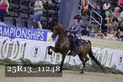 25R13_11248 thumbnail