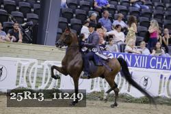 25R13_11249 thumbnail