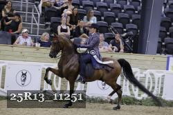 25R13_11251 thumbnail
