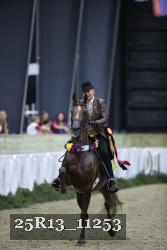 25R13_11253 thumbnail