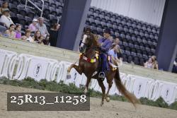 25R13_11258 thumbnail