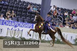 25R13_11260 thumbnail