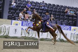 25R13_11261 thumbnail