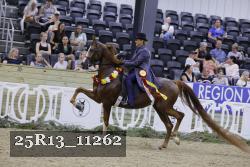 25R13_11262 thumbnail