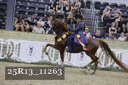 25R13_11263 thumbnail