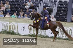 25R13_11264 thumbnail