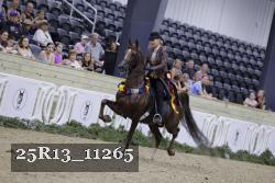 25R13_11265 thumbnail